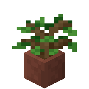 Plik:Sadzonka dębu w doniczce.png