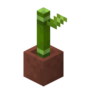 Plik:Bambus w doniczce.png