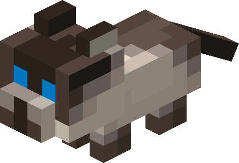 Plik:Kot syjamski mały.png