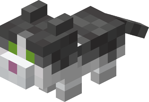 Plik:Kot jellie mały.png