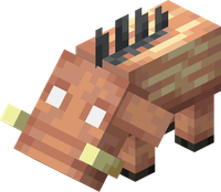 Plik:Młody hoglin JE5 BE4.png