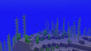 Trawa morska naturalnie.png