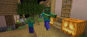 Baner 1.16.4.jpg