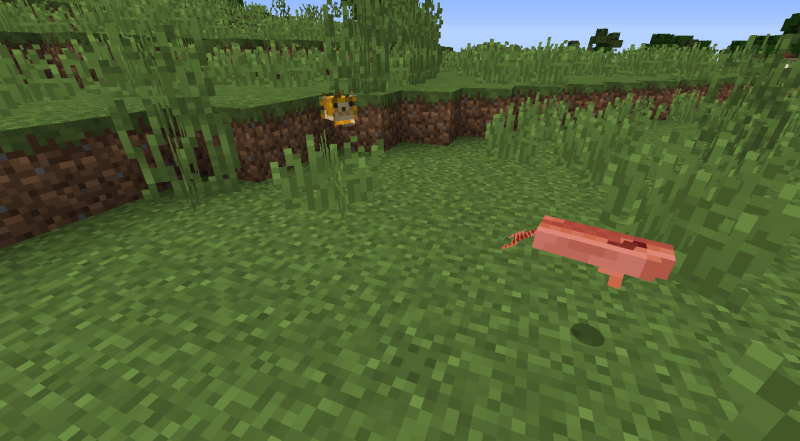 Plik:Dorsz i rozdymka poza wodą.png