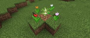 Baner 1.15.2.jpg