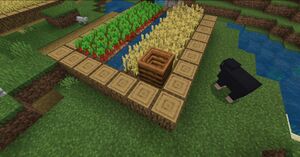 Kompostownik w wiosce.jpg