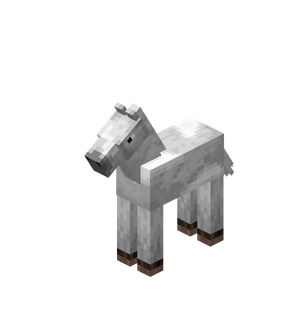 White Baby Horse with White Field.png