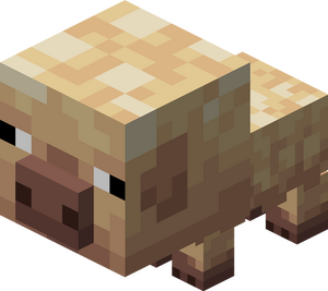 Zimnolubna świnia dziecko.png