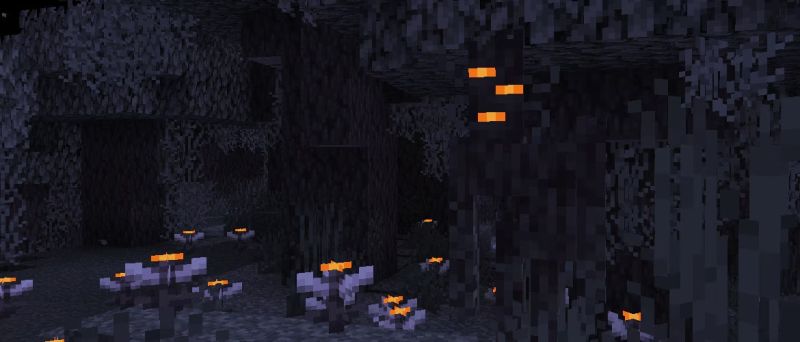 Plik:Banner 1 21 4.jpg