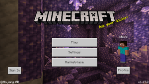 Bedrock Edition 1.17.2.png