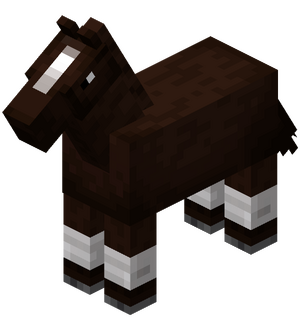 Darkbrown Horse with White Stockings.png