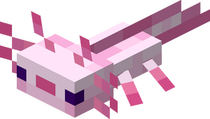 Młody różowy aksolotl JE3 BE3.png