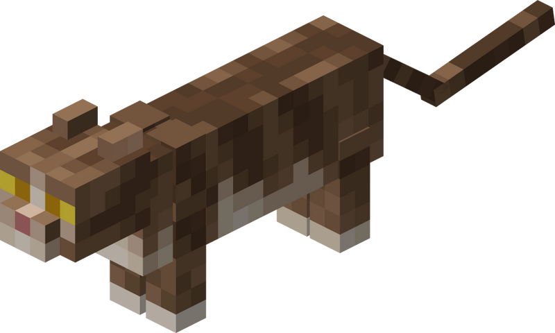 Plik:Kot pręgowany.png