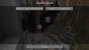 Ustawienia sieciowe java edition.png