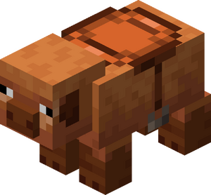 Osiodłana ciepłolubna świnia.png