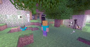 Ender new-1.jpg