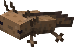 Dziki unoszący się aksolotl.png