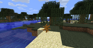 Uschnięty krzew bagna.png