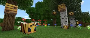 Baner 1.15.jpg