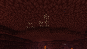 Rudy Kward Sufit.png