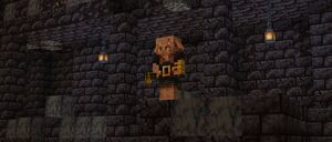 Baner 1.16.2.jpg