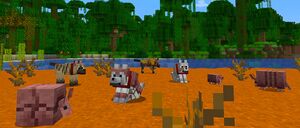 Baner 1.20.5.jpg