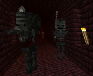 Mroczne Szkielety w Netherowych fotecach.png