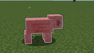 Świecąca świnia.png