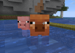 cappybara z siwniami