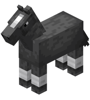 Gray Horse with White Stockings.png