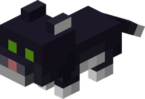 Kot dwukolorowy mały.png