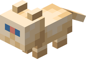 Kot perski mały.png