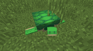 Żółw na lądzie.png