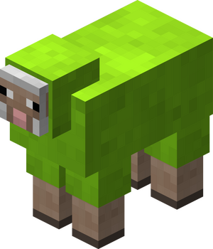 Owca limonkowa przed 1.12.png