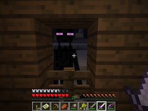 Enderman (2).png