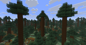 Starodrzew sosnowy.png