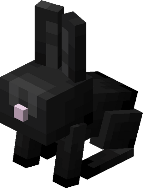 Plik:Mały czarny królik.png