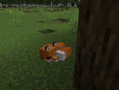 Lis - Minecraft Wiki Polska