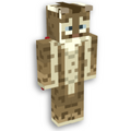 Skin Philipa w Minecraft.