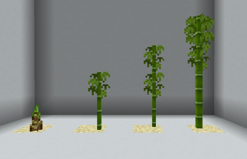 Plik:Stopnie bambusa.png