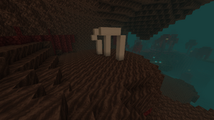 Neher Skamielina.png