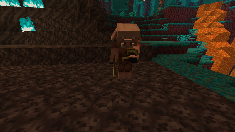 Plik:Przed włożeniem.png