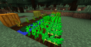 Zast lili w farmerstwie.png