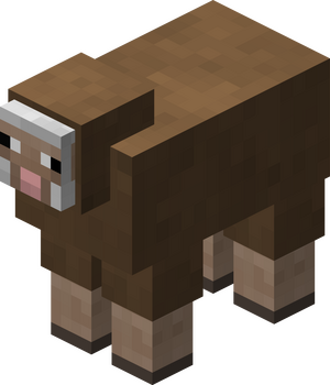 Owca brązowa przed 1.12.png