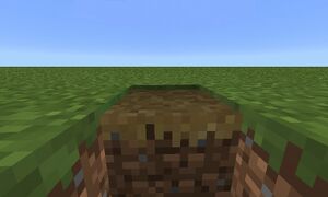 Porównanie ścieżki i bloków trawy.jpg