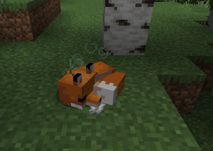 Zatruty lis po zjedzeniu surowego kurczaka.png