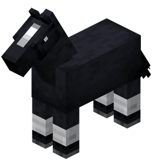 Black Horse with White Stockings.png