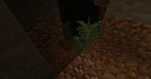 Duże paprocie w jaskini.png