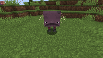 Magmołaz - Minecraft Wiki Polska