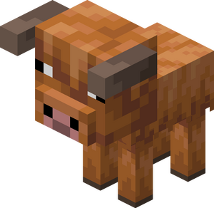 Zimnolubna krowa dziecko.png